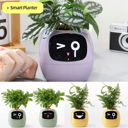 Smart Planter Pots Expressions 7 Smart Sensors