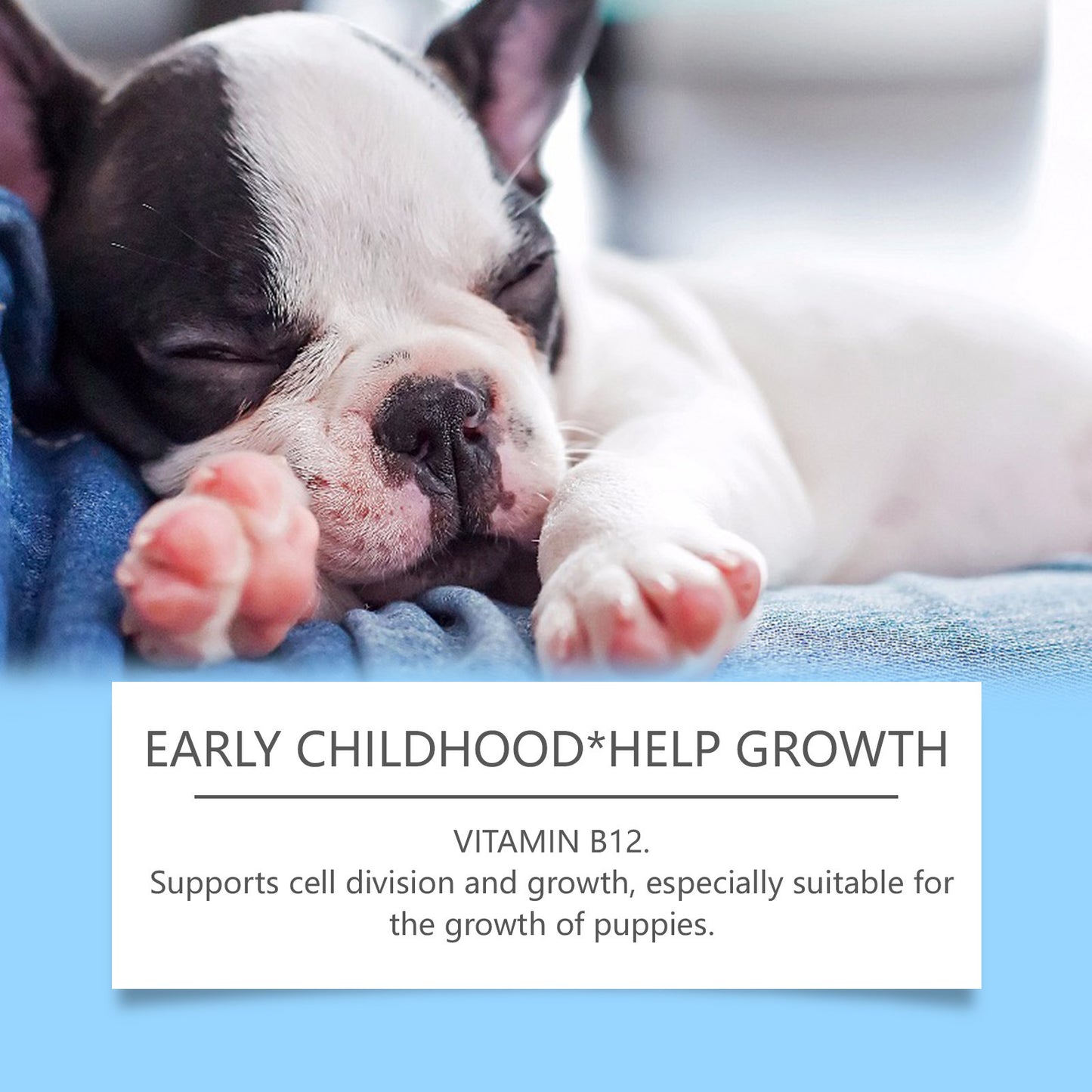 Dogs Multivitamin Tablet For Cats Dog Pet