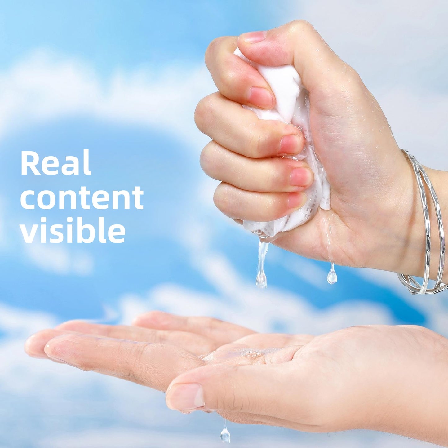 Pet Cleaning Gloves Wipes