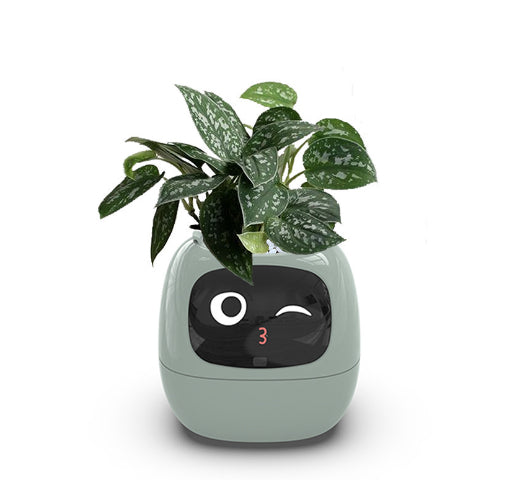 Smart Planter Pots Expressions 7 Smart Sensors